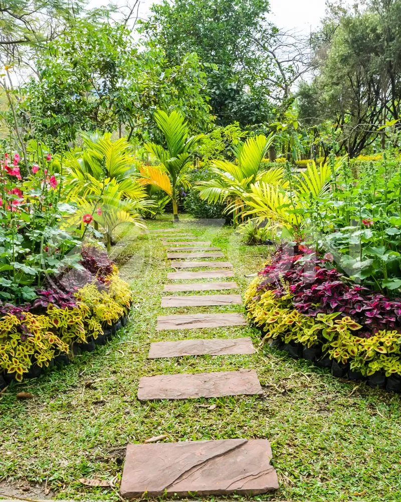 Slide of The Zon Group