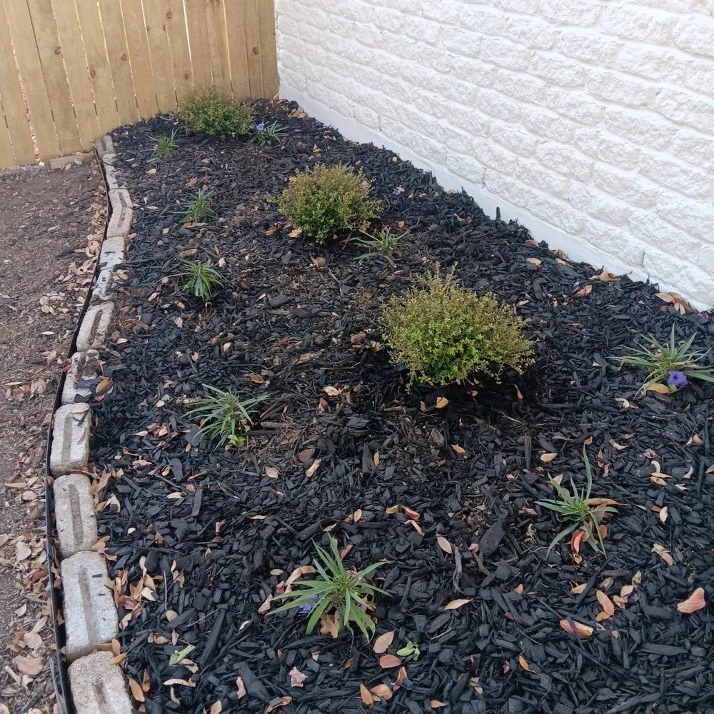 Slide of The Zon Group