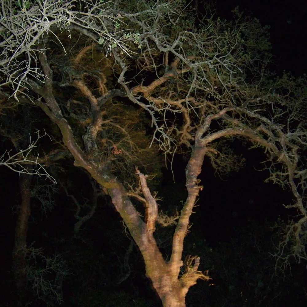 Slide of Thern Electric & Solar