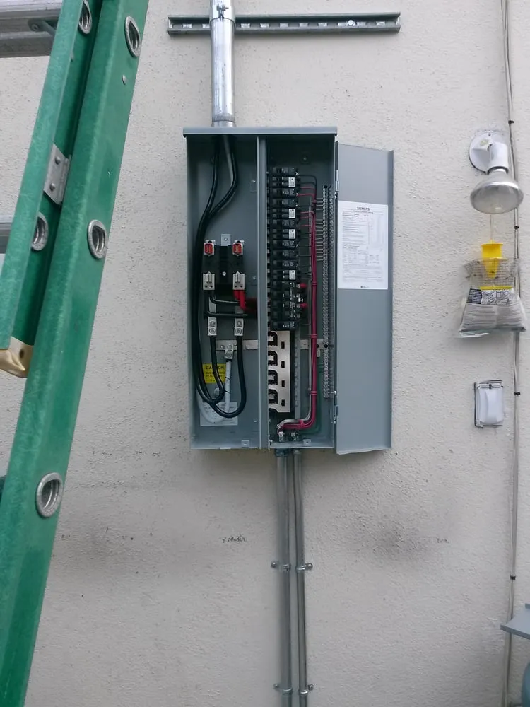 Slide of Thistle Electric