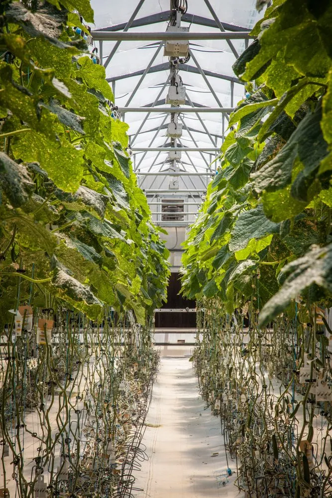 Slide of Thomas Chipman Company