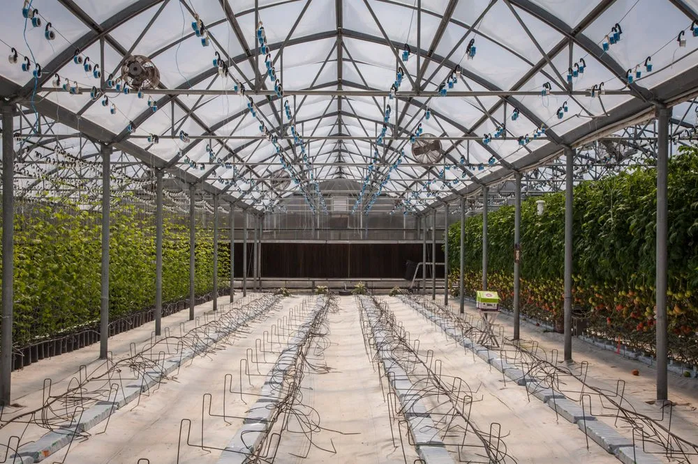 Reliable electrical service for homes in outlet and switch repair,  by 