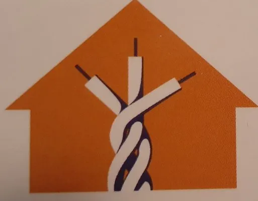 Thomason Electrical and Paint Logo