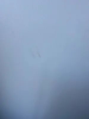 Thompson Electric Logo