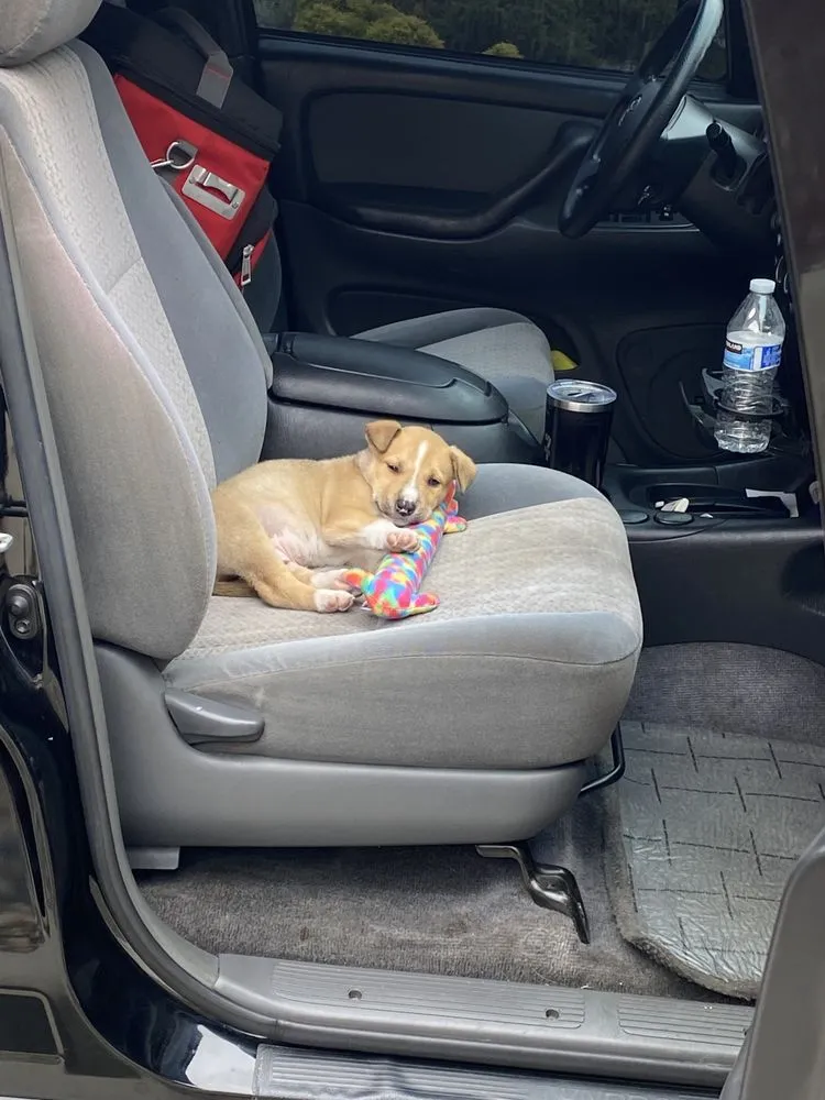 Slide of Thompson Electric