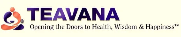 Slide of Thor Cary Electric