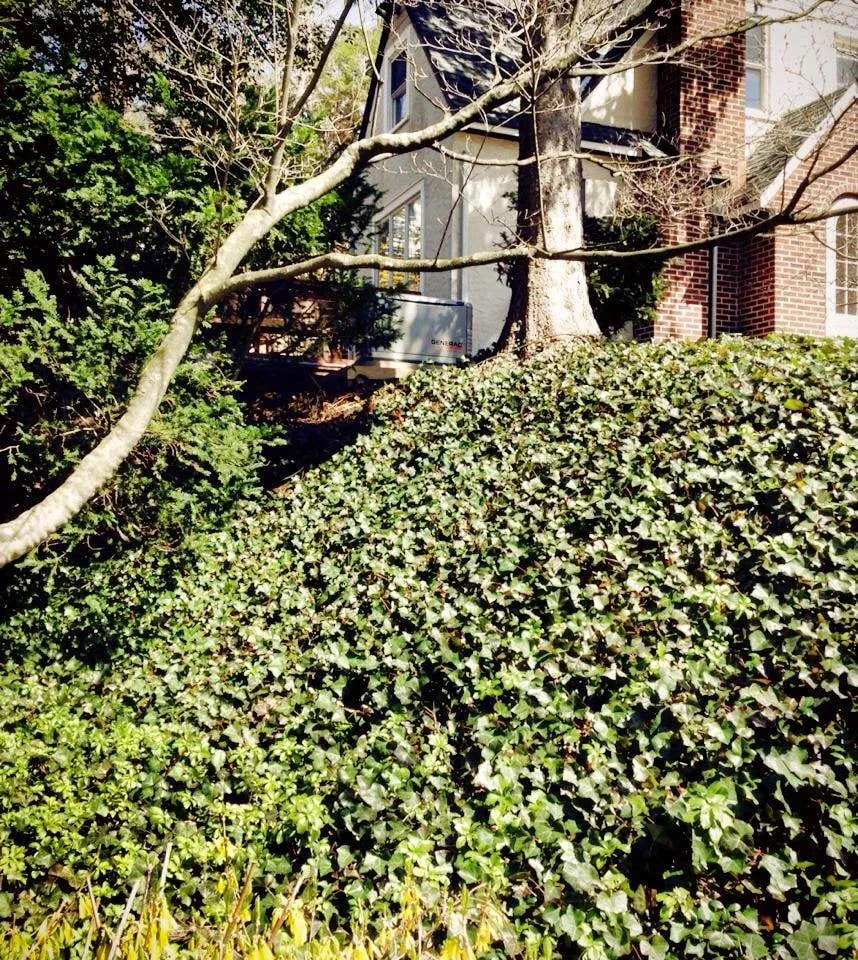 Slide of Thoroughbred Power Systems