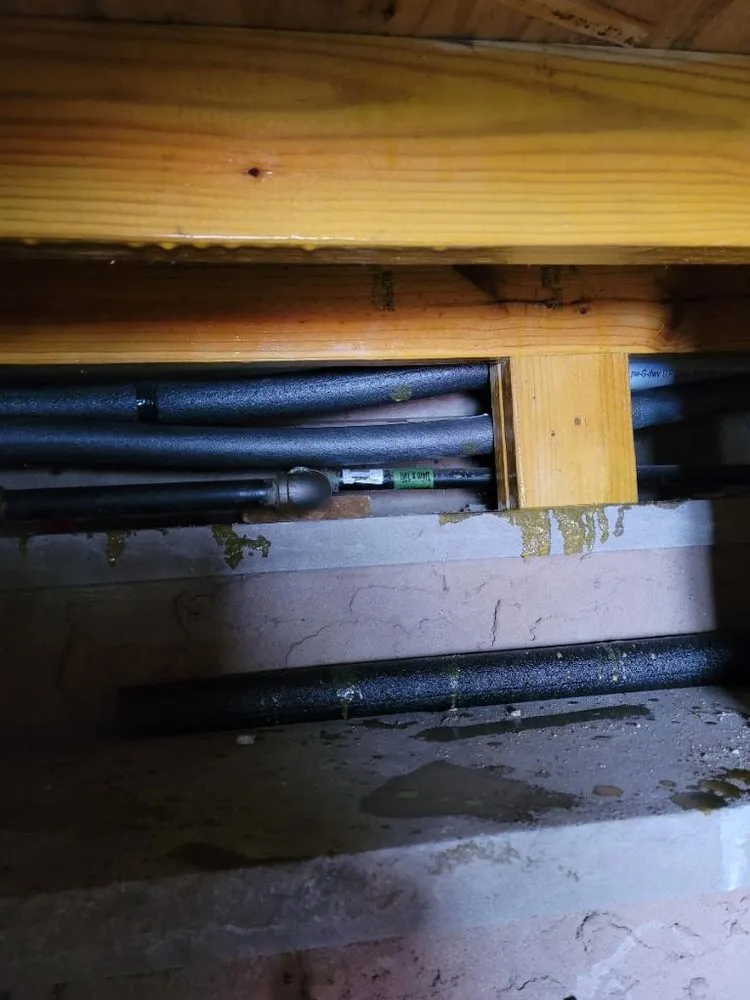 Slide of Three Daughter’s Construction