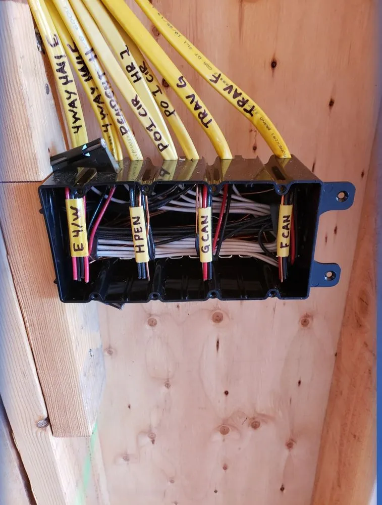 Slide of THRONE ELECTRIC