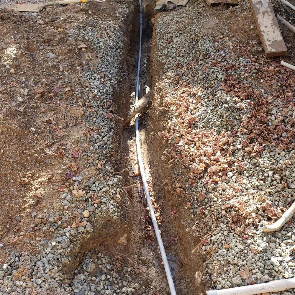 Slide of THRONE ELECTRIC