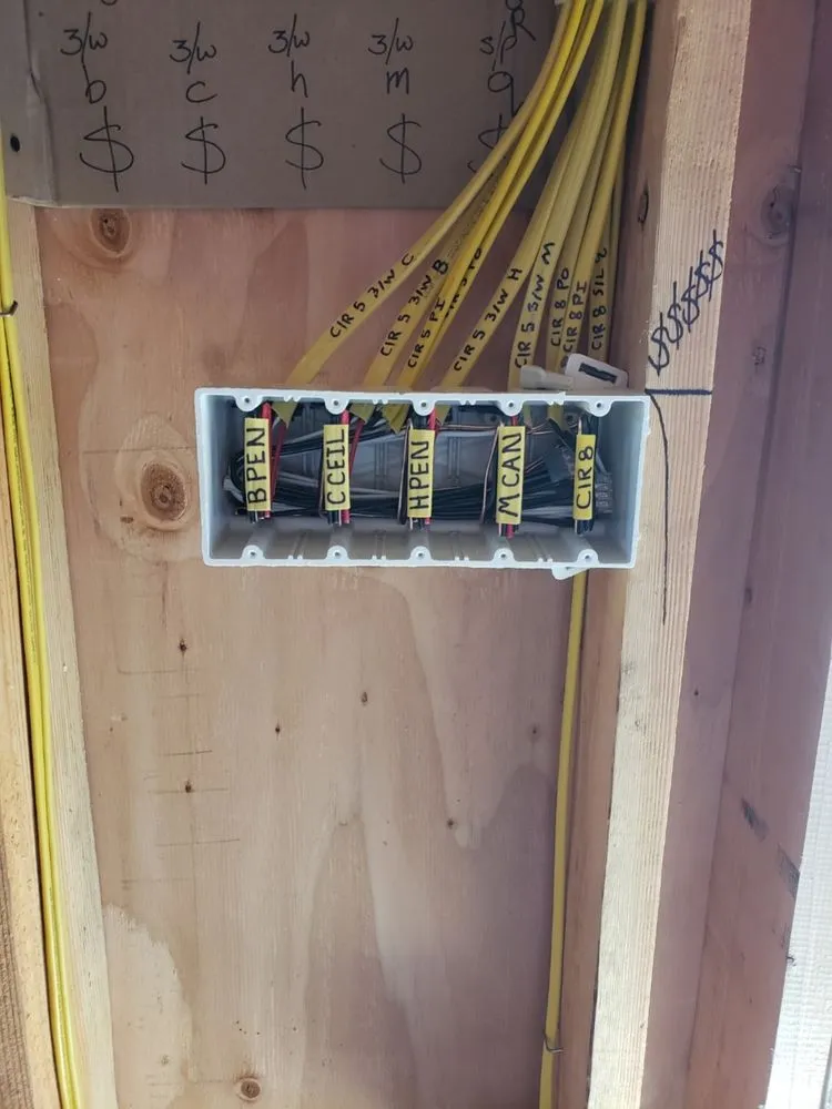 Expert electrical service for homes in outlet and switch repair, by