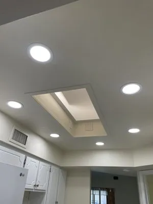 Thunder Electric Logo