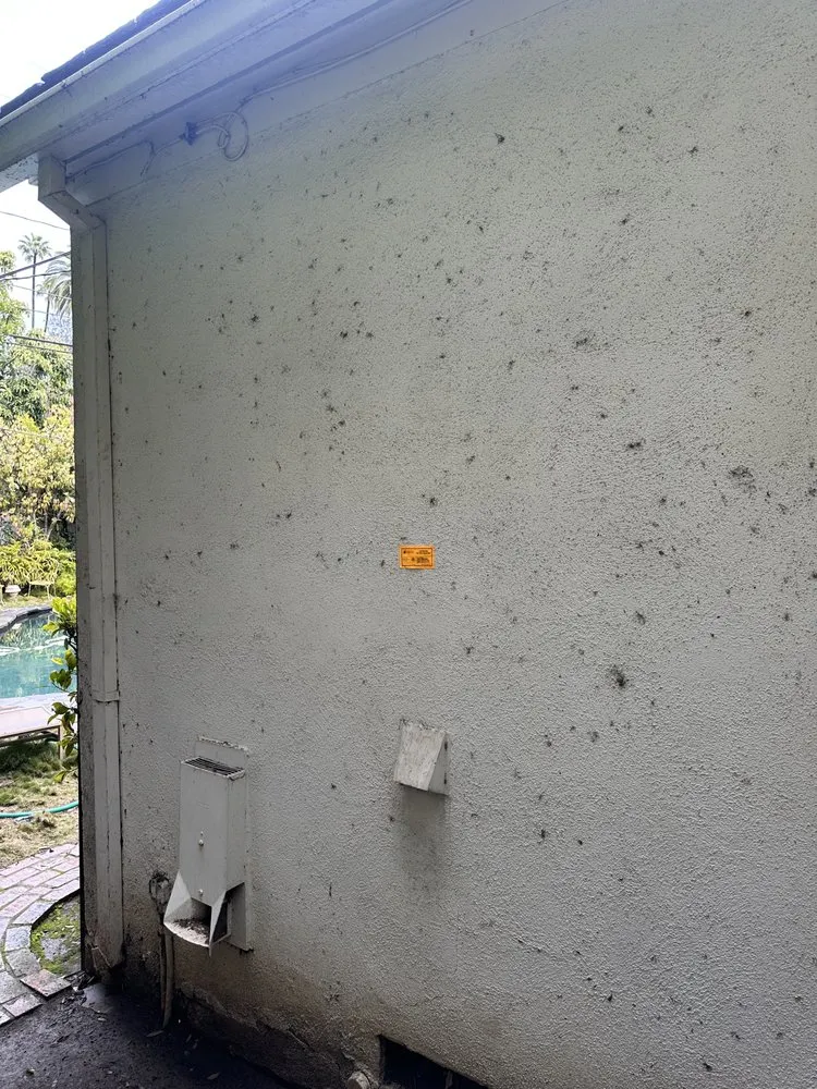 Slide of Thunder Electric