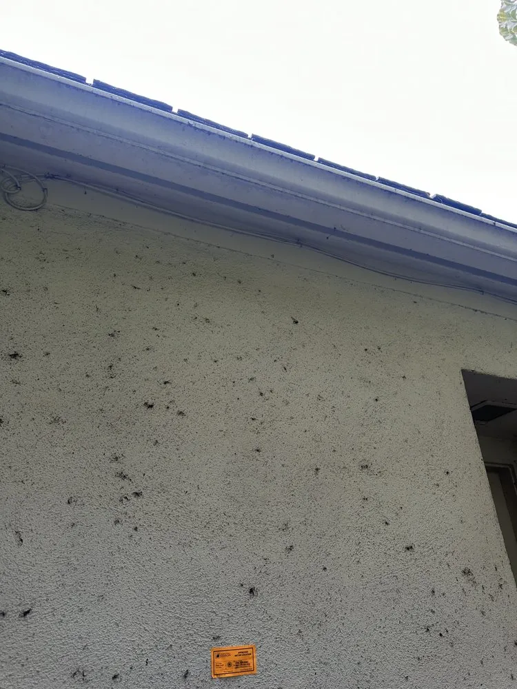 Slide of Thunder Electric