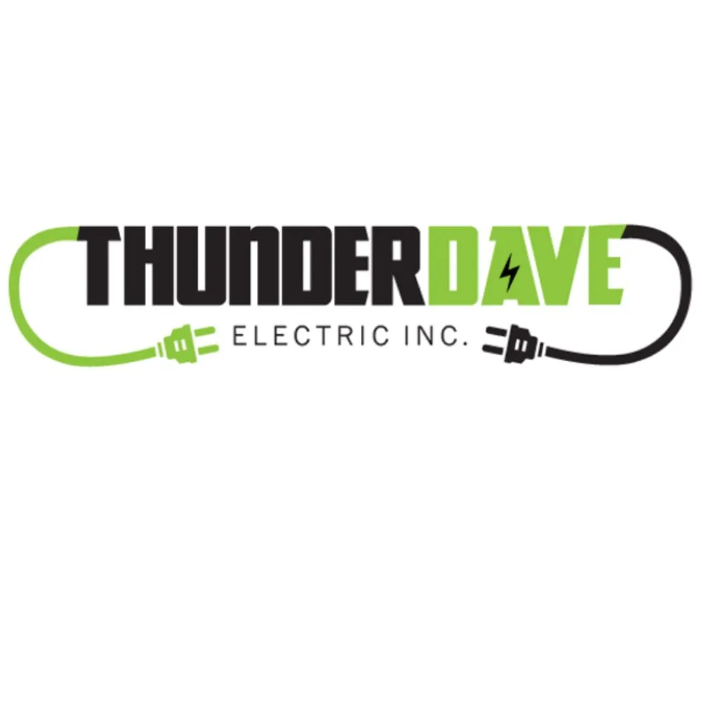 Slide of THUNDERDAVE ELECTRIC INC.