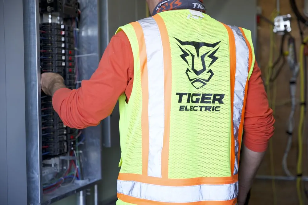 Slide of Tiger Electric