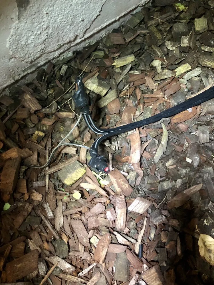 Slide of Tim Hensons Unique Lighting