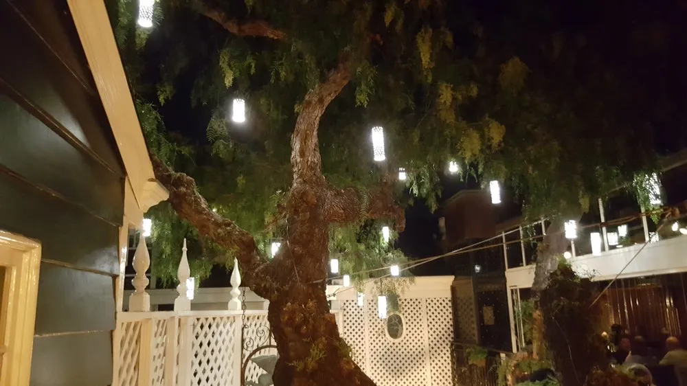 Slide of Tim Hensons Unique Lighting