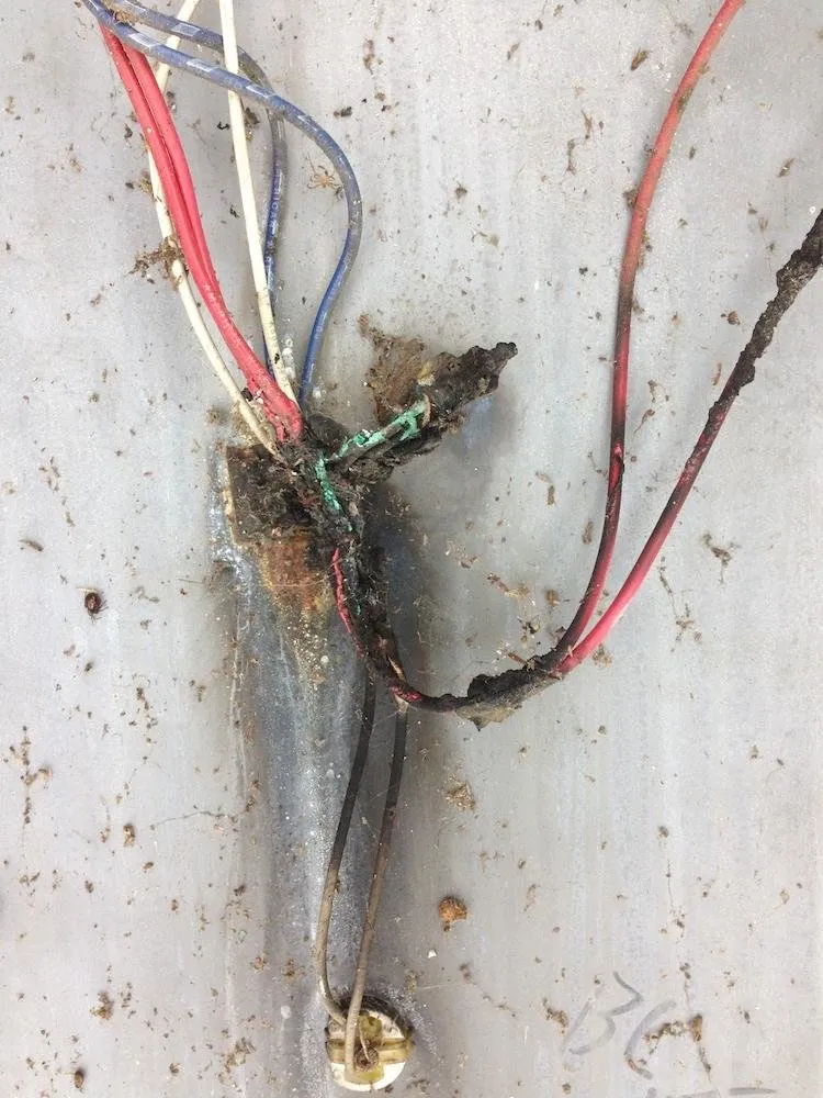 Certified outlet and switch repair service in Merrifield, MN - Timber Ridge Electric