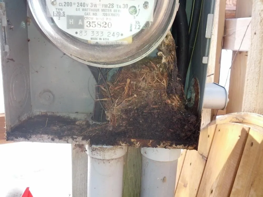 Certified electrician providing wiring installation in Merrifield, MN - Timber Ridge Electric