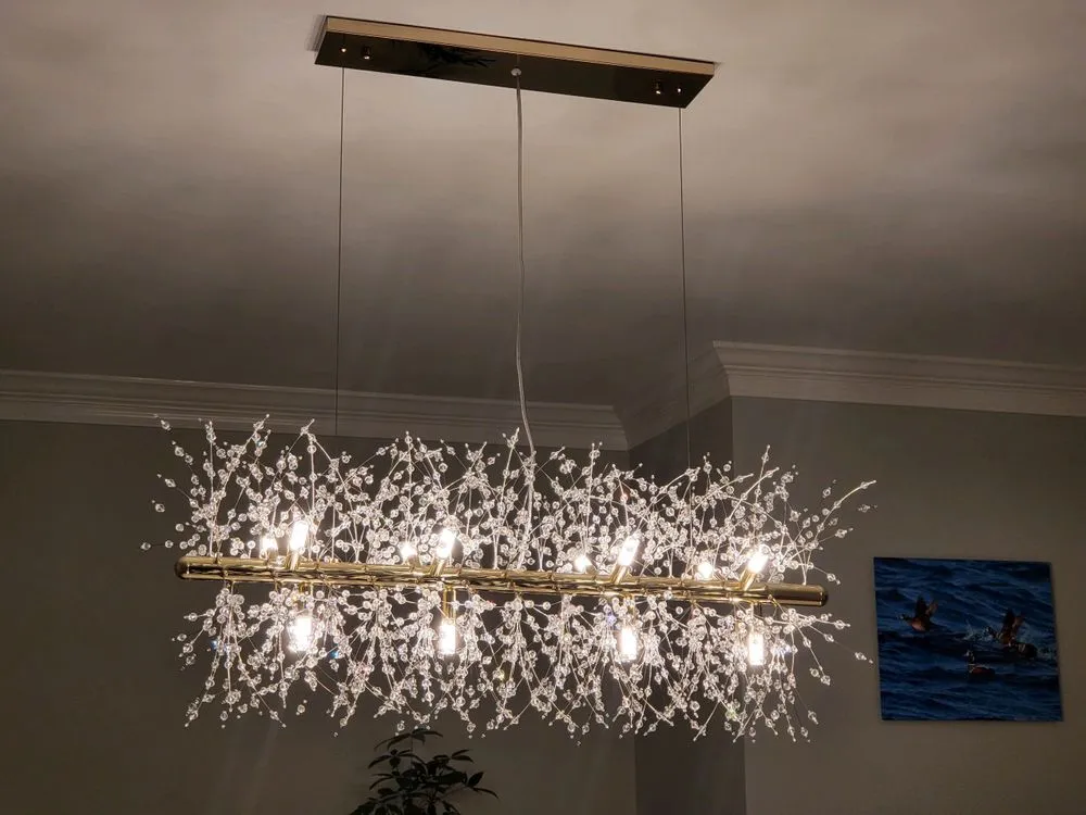 Slide of Timothy James Chapman Electrician