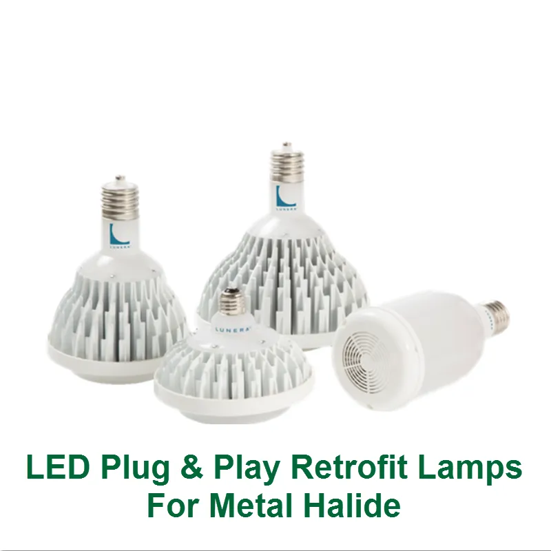 Slide of Tim's Electric City SF