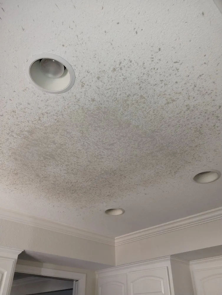 Slide of Tip Top Renovators