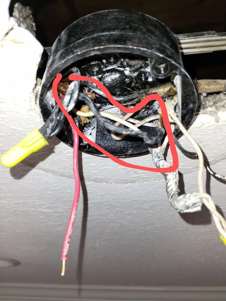 Slide of Tip Top Renovators