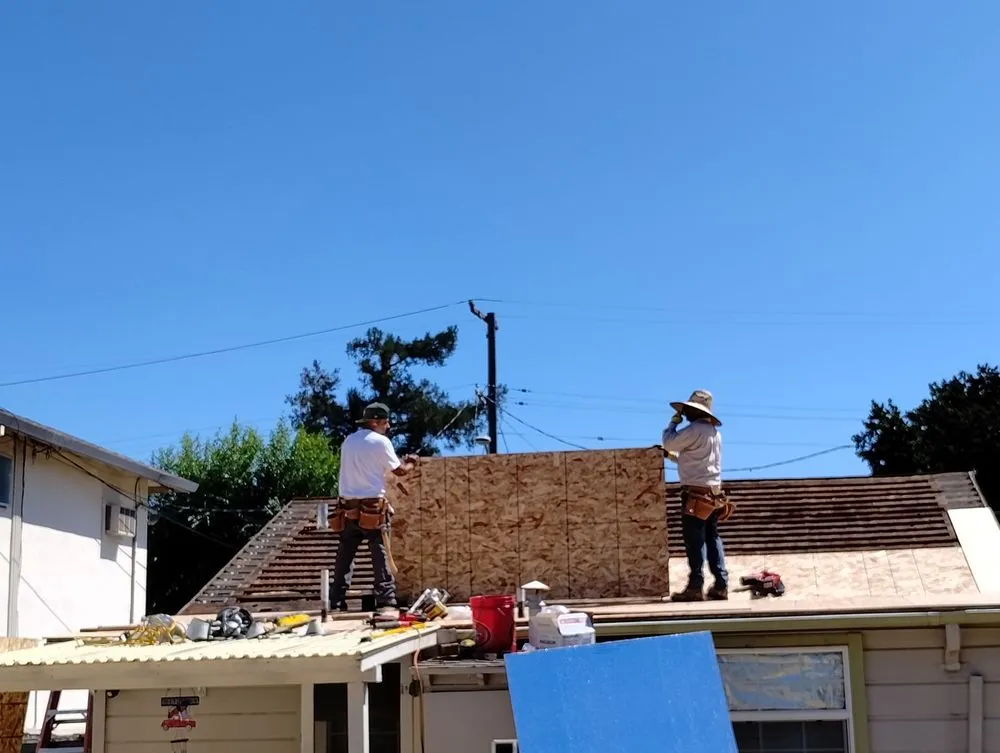 Slide of Tip Top Renovators