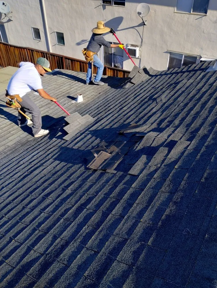 Slide of Tip Top Renovators