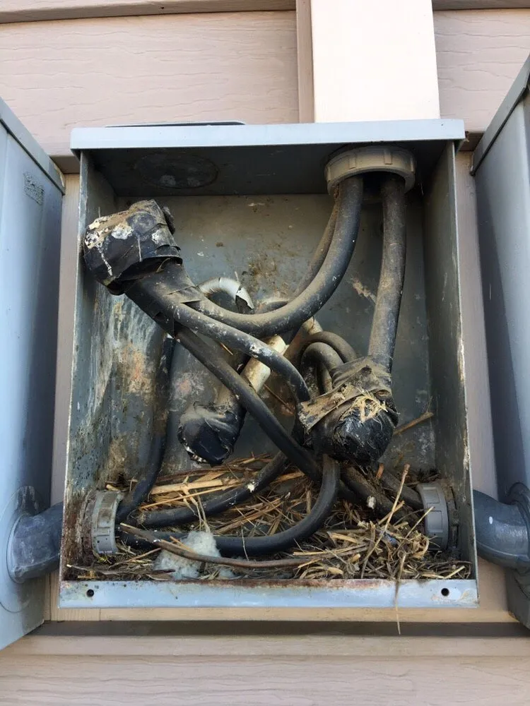 Slide of Titus Electrical Services