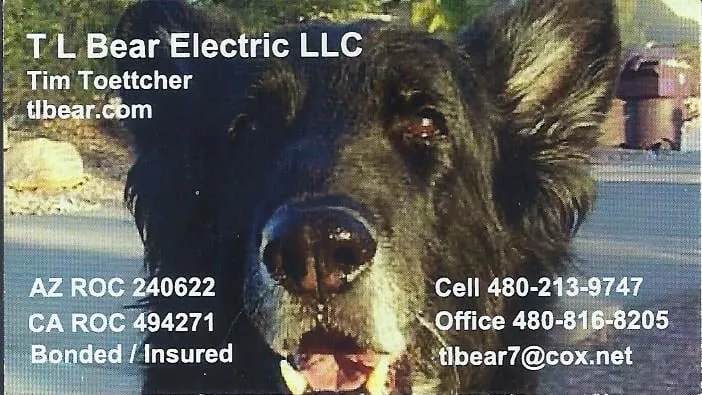 Slide of TL Bear Electric