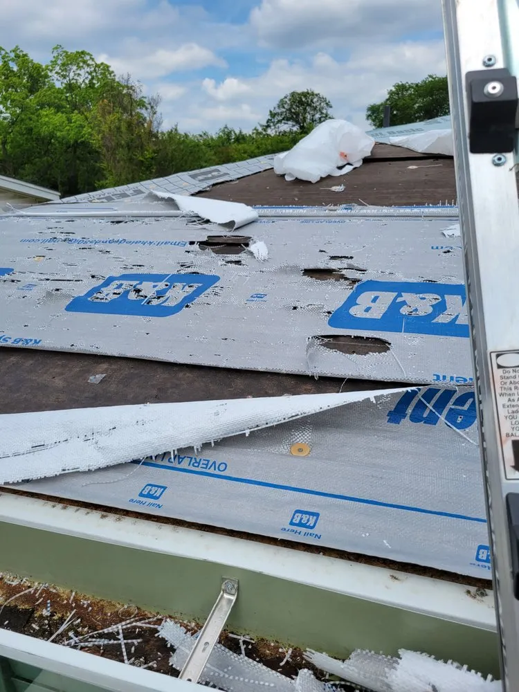 Slide of TLC Group Services