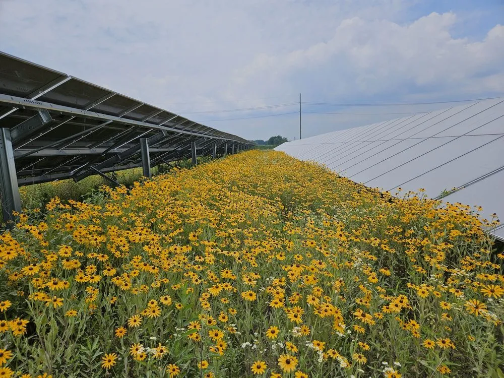 Slide of TMI Energy Solutions