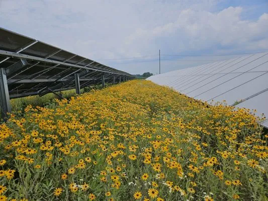 TMI Energy Solutions Logo