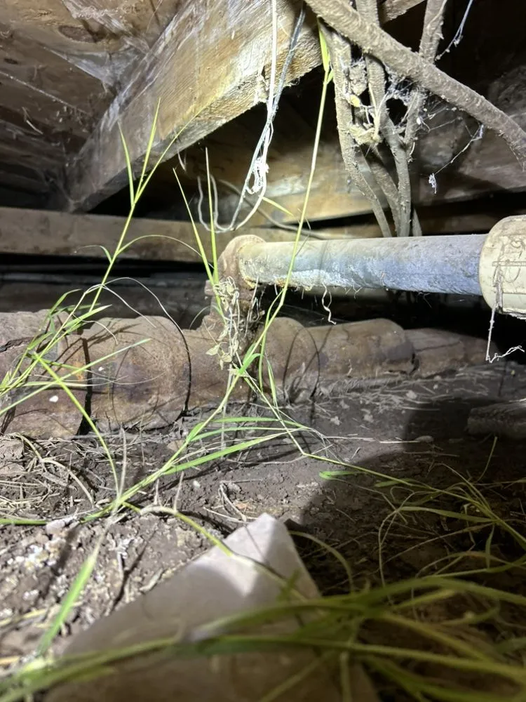 Emergency electrical repair in ,  by TNL Handyman Services