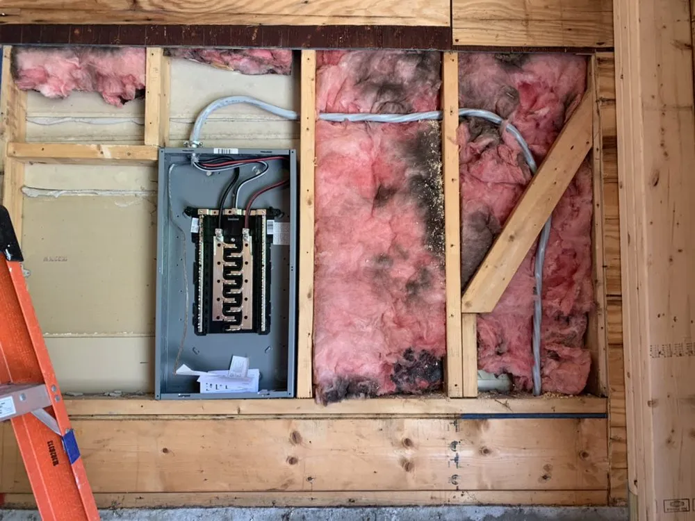 Slide of TNT Electrical Services