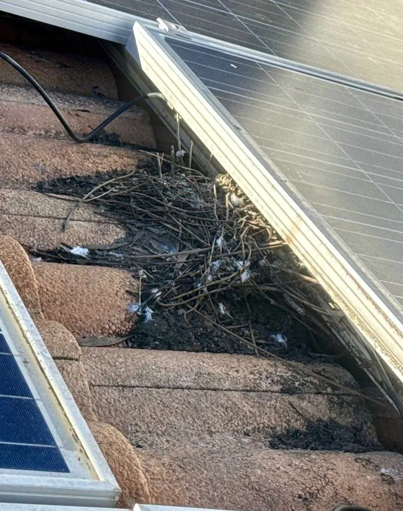 Slide of Tobin Hill Electric