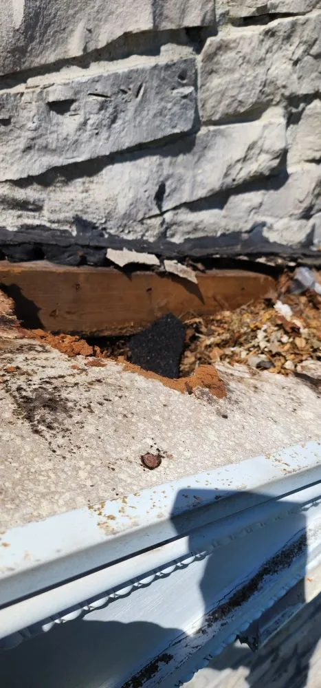 Slide of Toj Sokhtmon