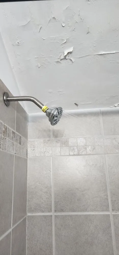 Slide of Toj Sokhtmon