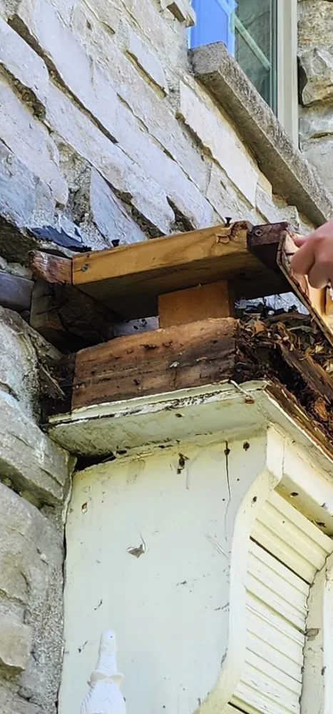 Slide of Toj Sokhtmon