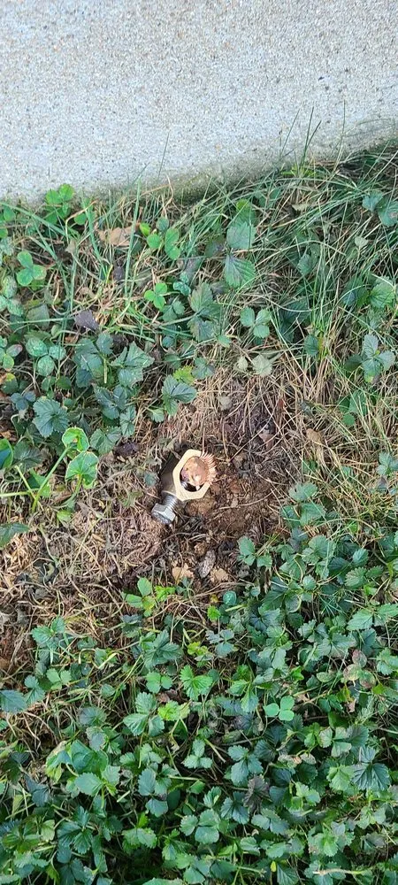 Slide of Tom Drexler