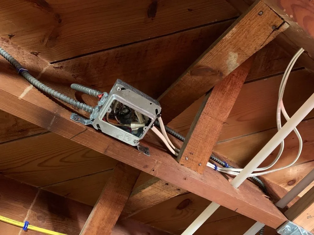 Slide of Tomato Electric