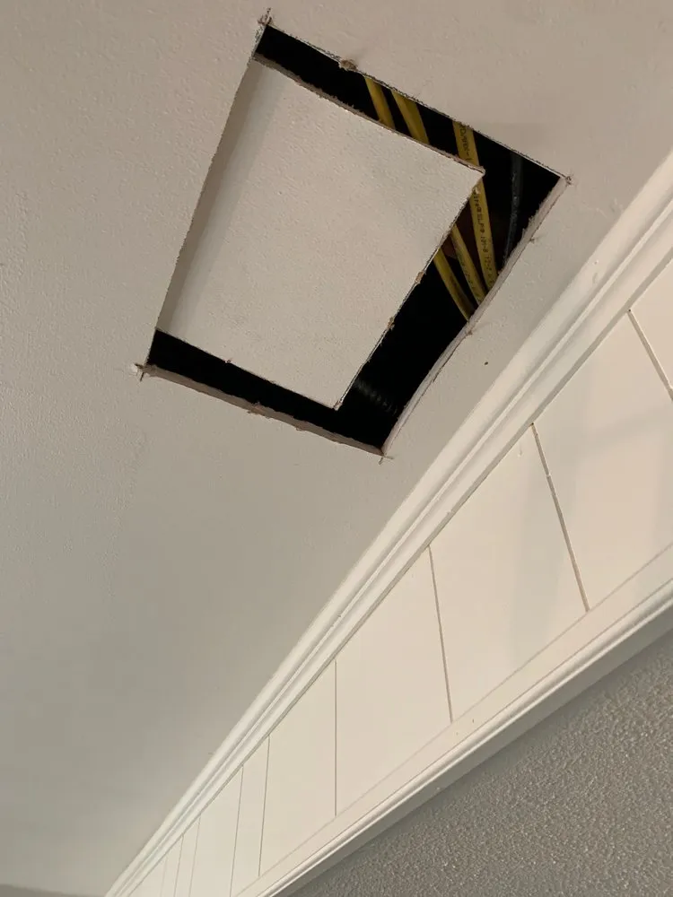 Slide of Tomato Electric