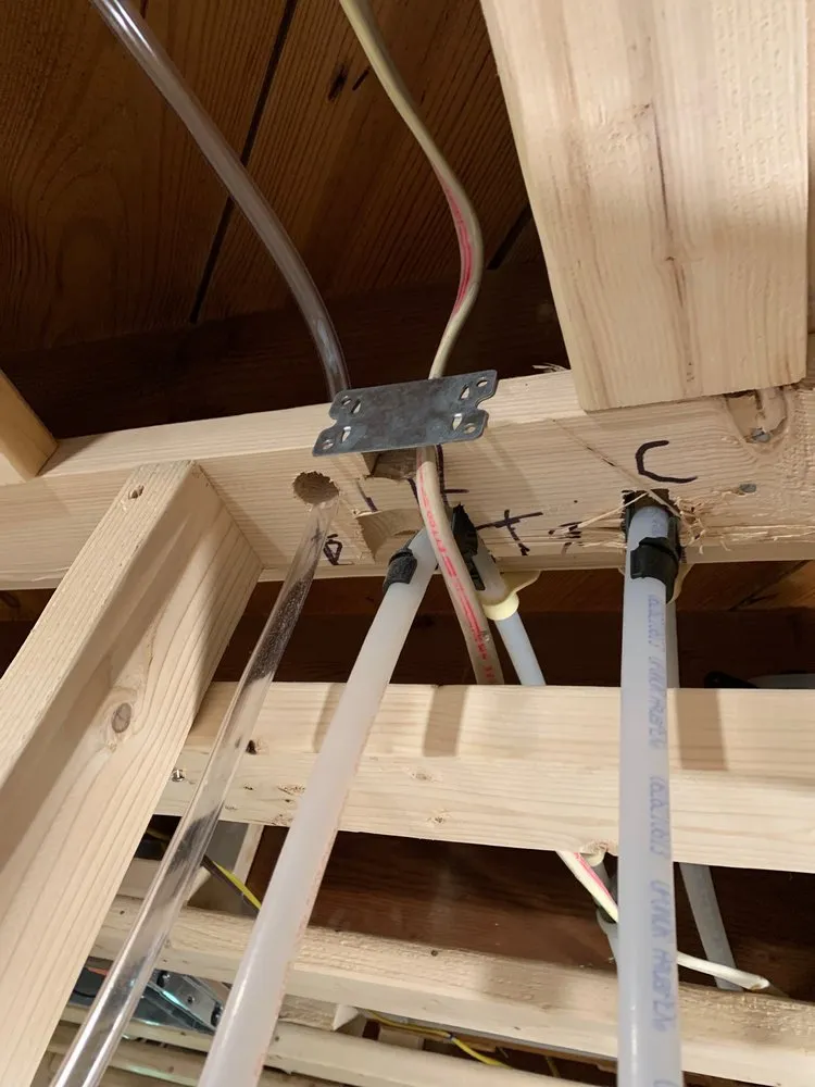 Slide of Tomato Electric