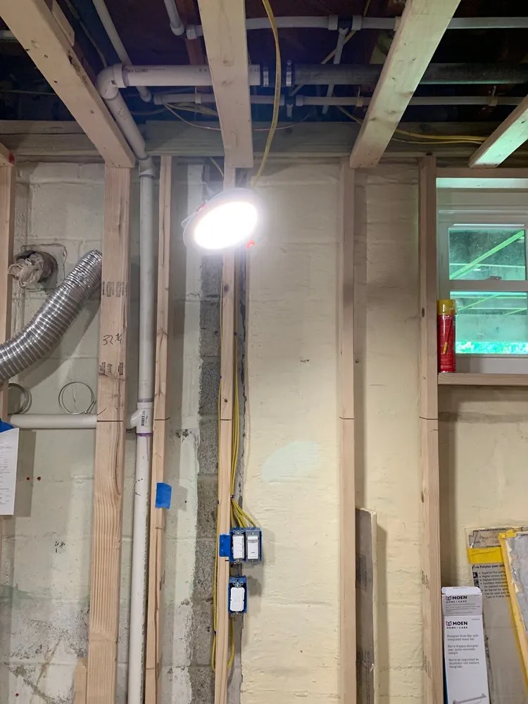 Slide of Tomato Electric