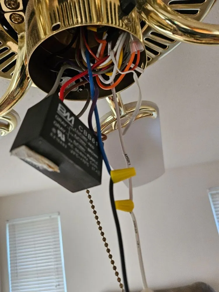 Slide of Tone City Electric