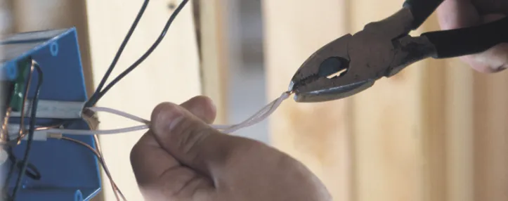 Slide of Tony Petrauskas