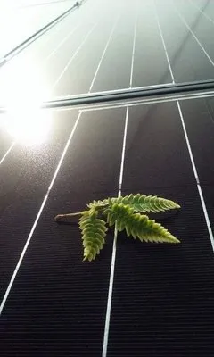 Too Clean Solar & Electric