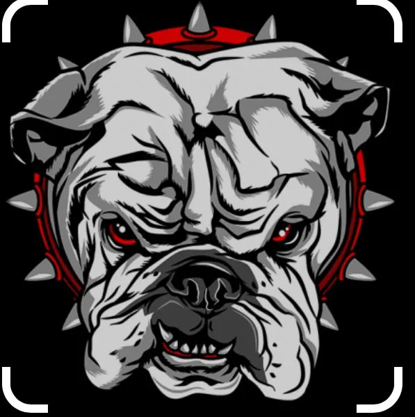 Slide of Top Dawg Pro Services